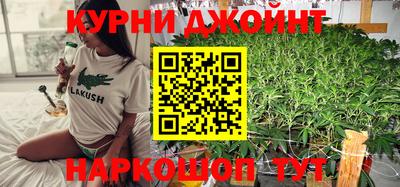 дмт Новоалтайск