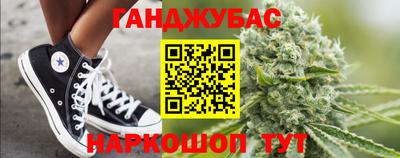 стаф Новоалександровск