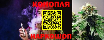 стаф Новоалександровск