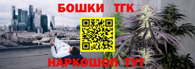 стаф Новоалександровск
